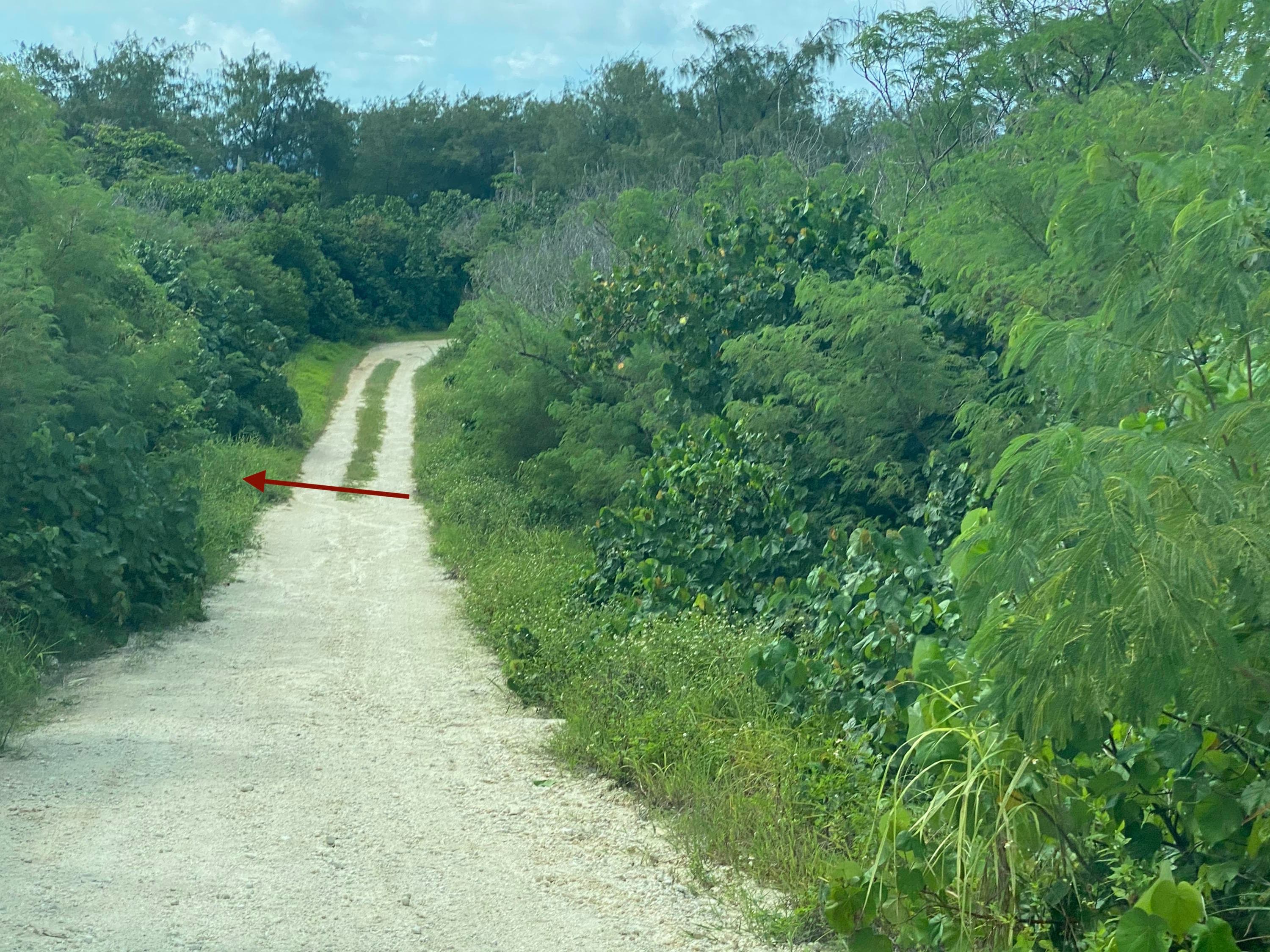 lot area