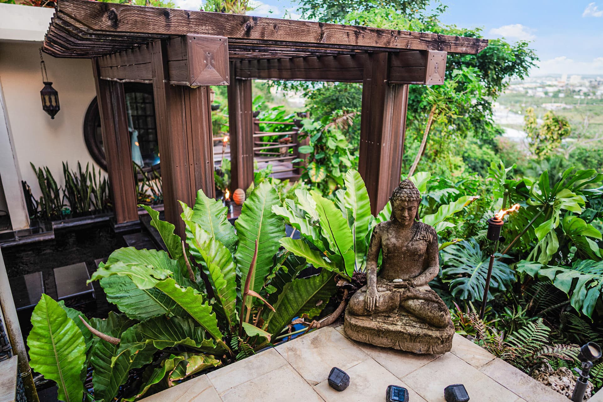 Tropical Oasis