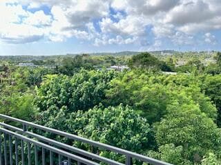 Master Bdrm Balcony View 2