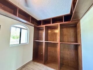 Walk In Closet 2