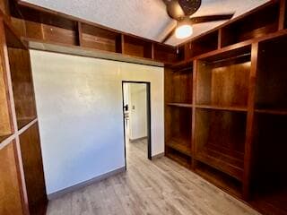 Walk In Closet 5